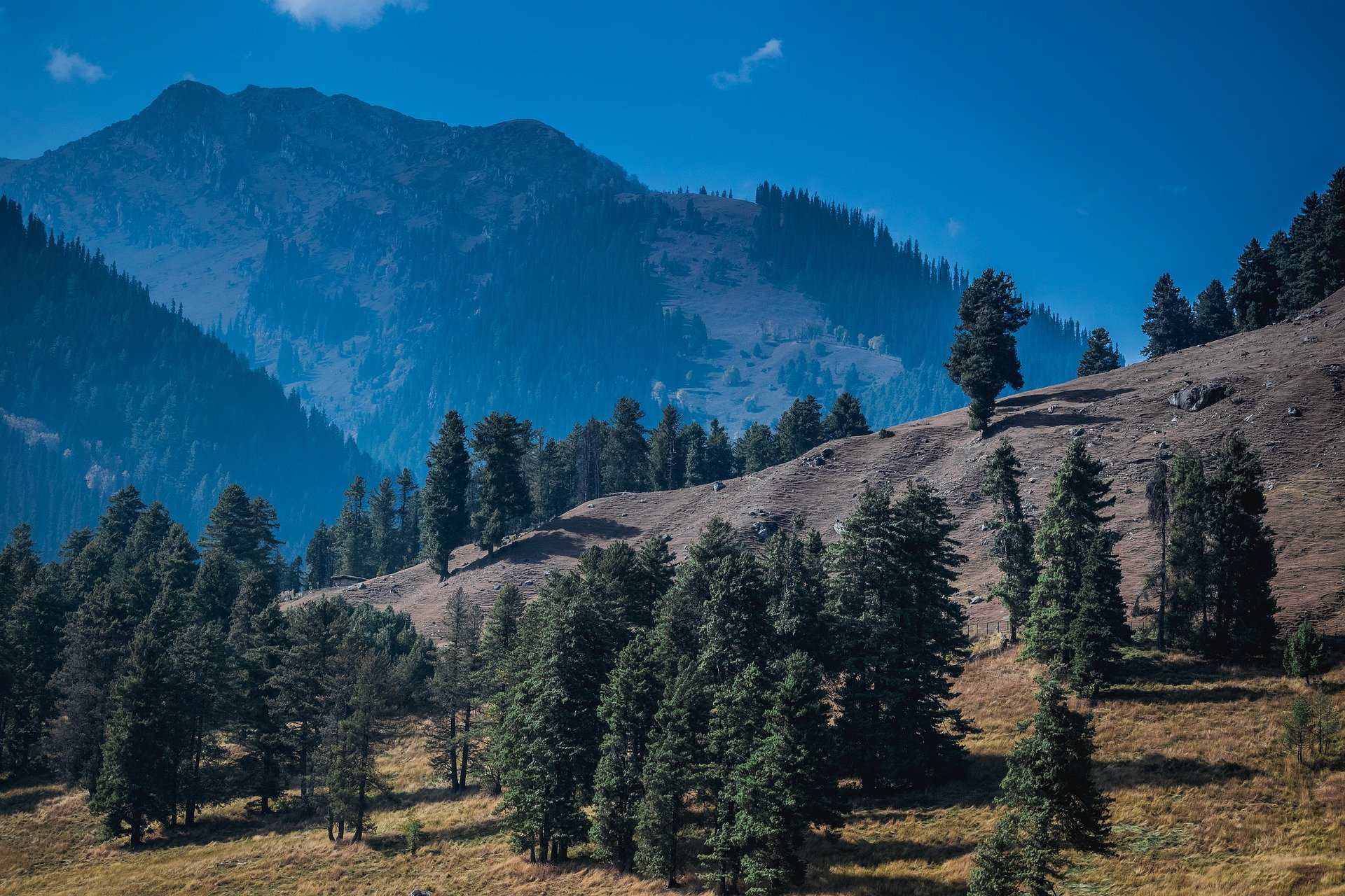 Rudra.Tours: Mountains in   Katra and Vaishno Devi Tour . 
